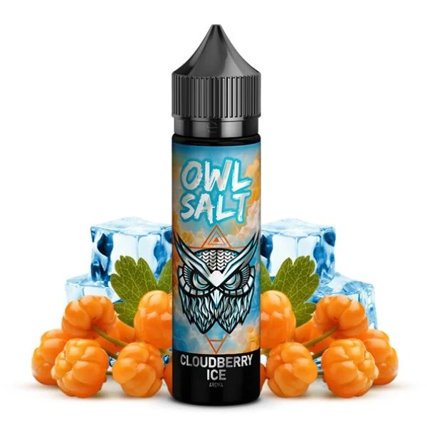 OWL Salt - Cloudberry Ice 10ml Aroma Longfill