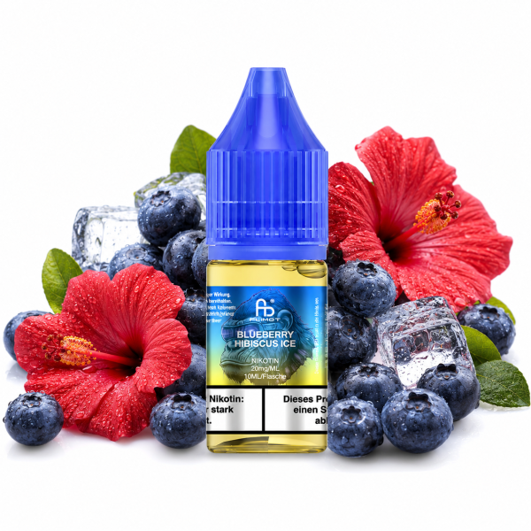 RandM Liquid 10ml - Blueberry Hibiscus Ice