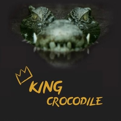King Crocodile Kohle 27er 1kg